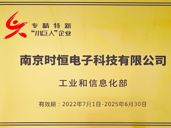 國家級專(zhuān)精特新小巨人企業(yè)